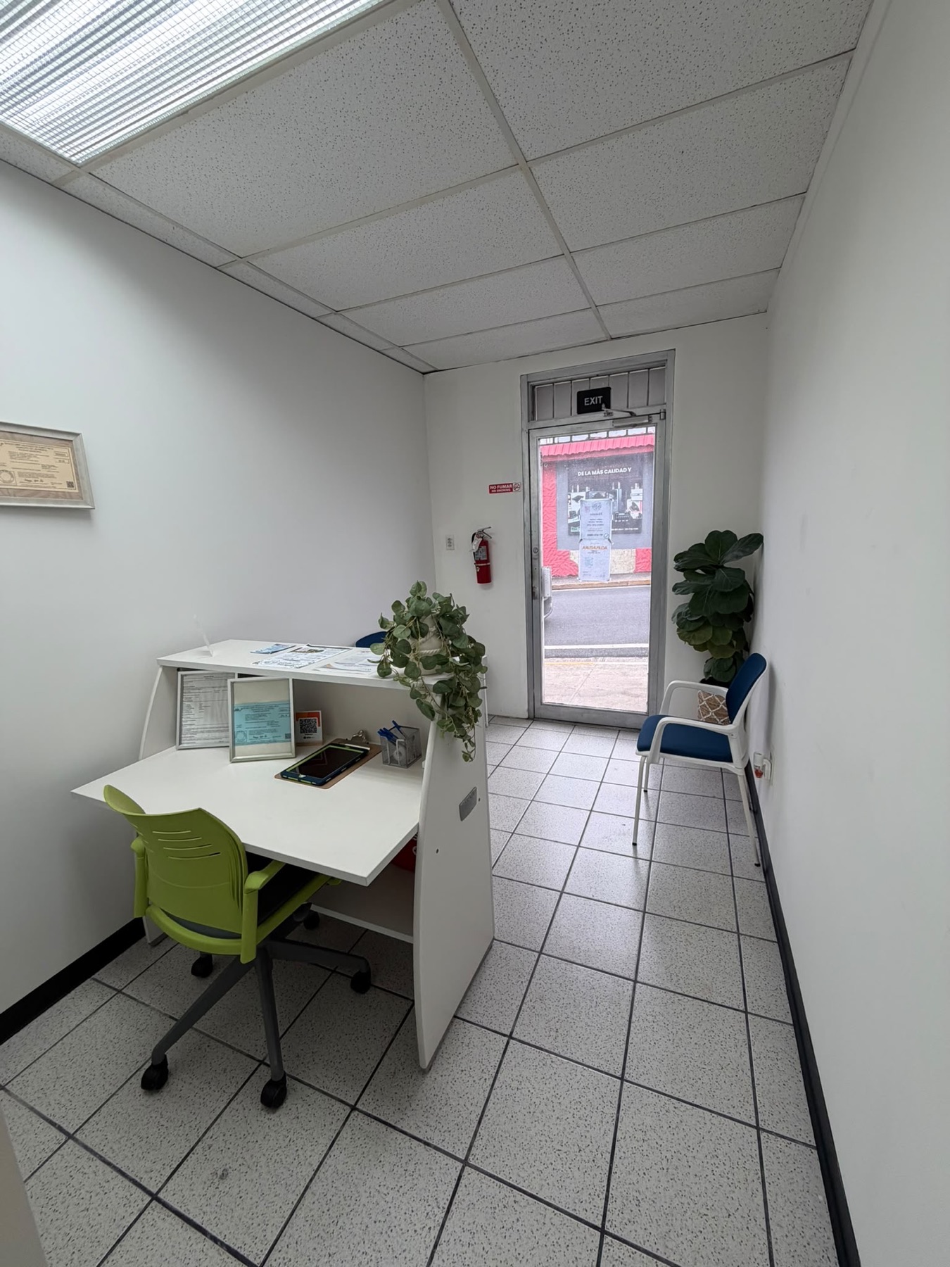 Recepción blanca con plantas en la entrada de la oficina